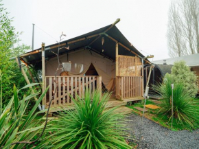 Safari Tent